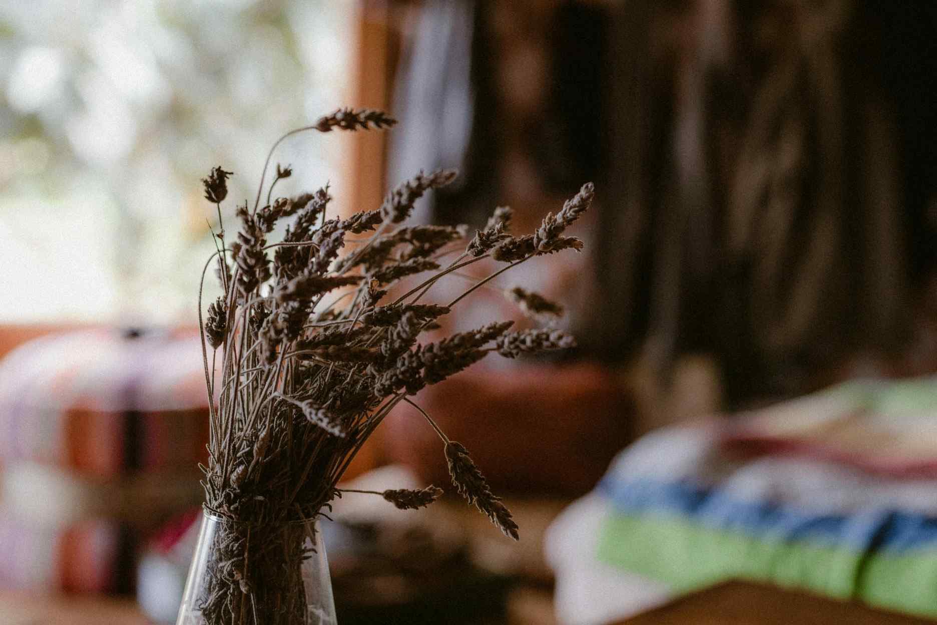 Featured image for Essential Rustic Farmhouse Decor Strategies for a Warm and Enduring Home