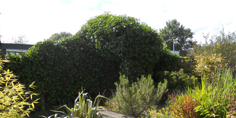 diy-job-mobile-container-garden-58e399711345b.jpg