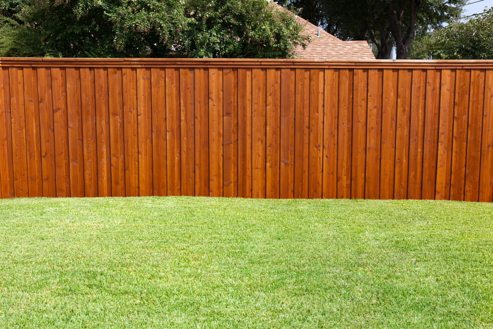 how-to-build-a-privacy-fence.jpg
