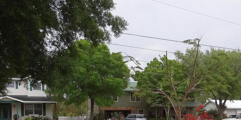 the-best-way-to-stop-tree-stump-re-growth-on-a-fence-line-593f8f2b07647.jpg