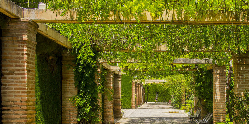 the-best-way-to-stop-grass-from-developing-in-concrete-593fad1f06621.jpg