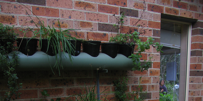 the-best-way-to-fertilize-lavender-59403383e024a.jpg