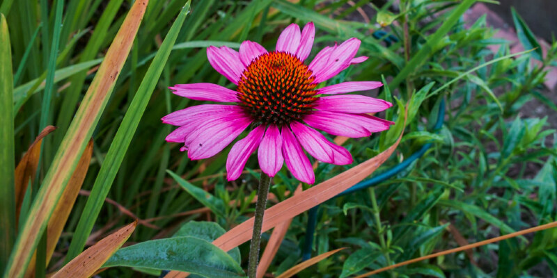 93886c7200e3d8cbd4999d3e01d7df94.jpg
