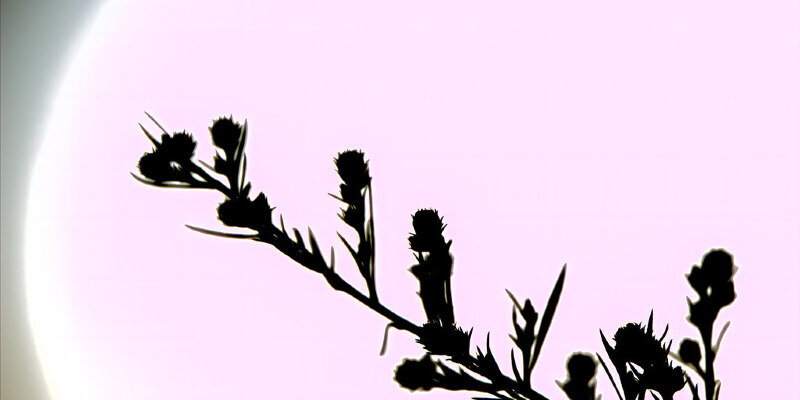 d8e51afe67c5e5994f0dc6824f2da677.jpg